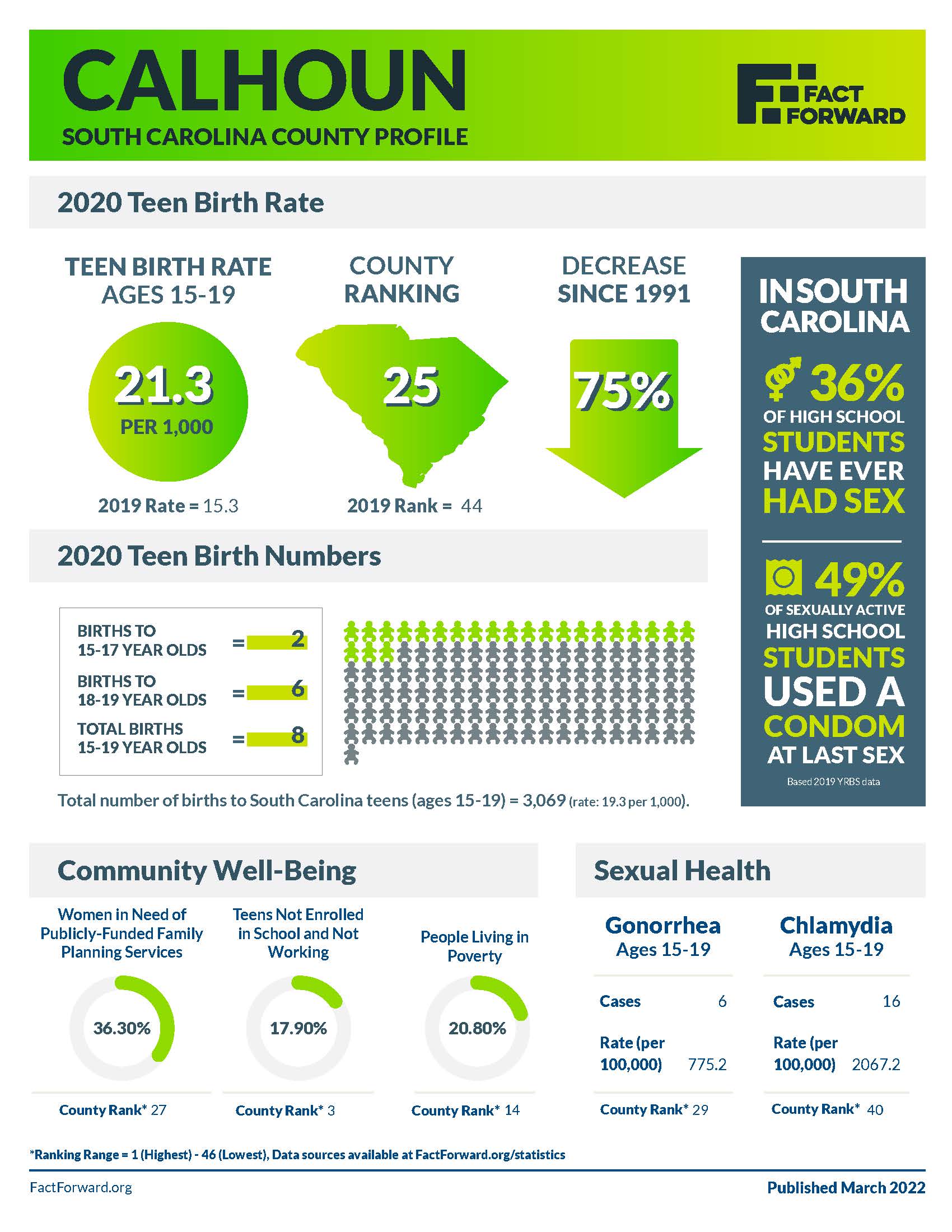 Calhoun Teen Birth Data