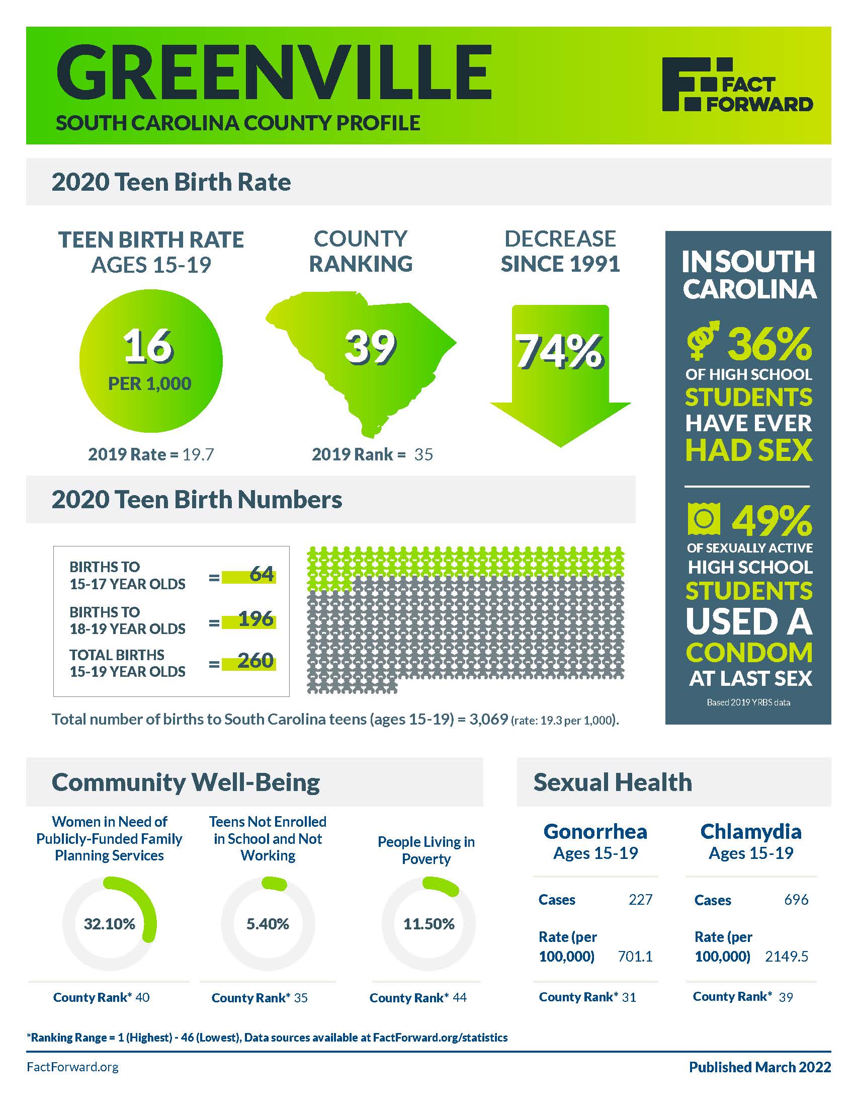 Greenville Teen Birth Data