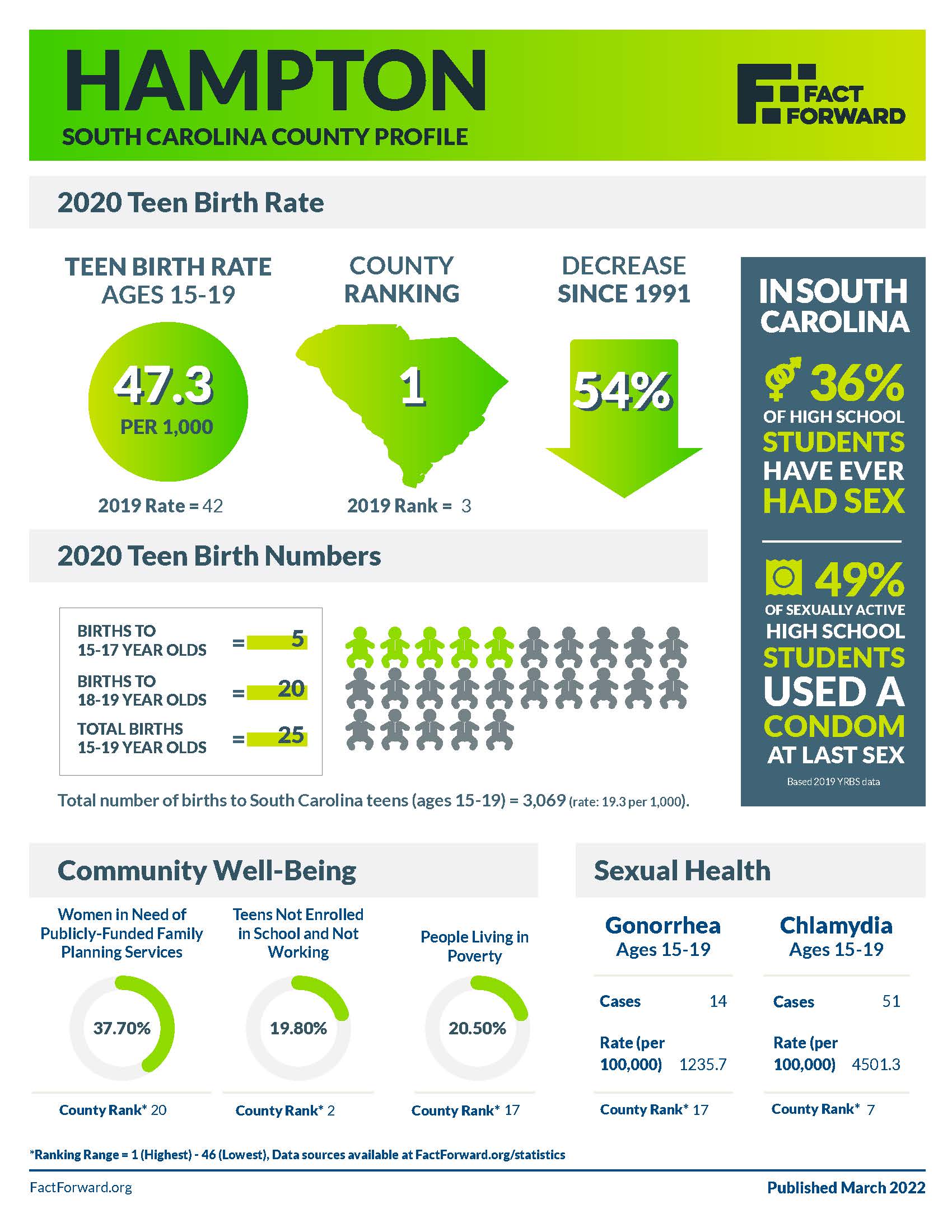 Hampton Teen Birth Data