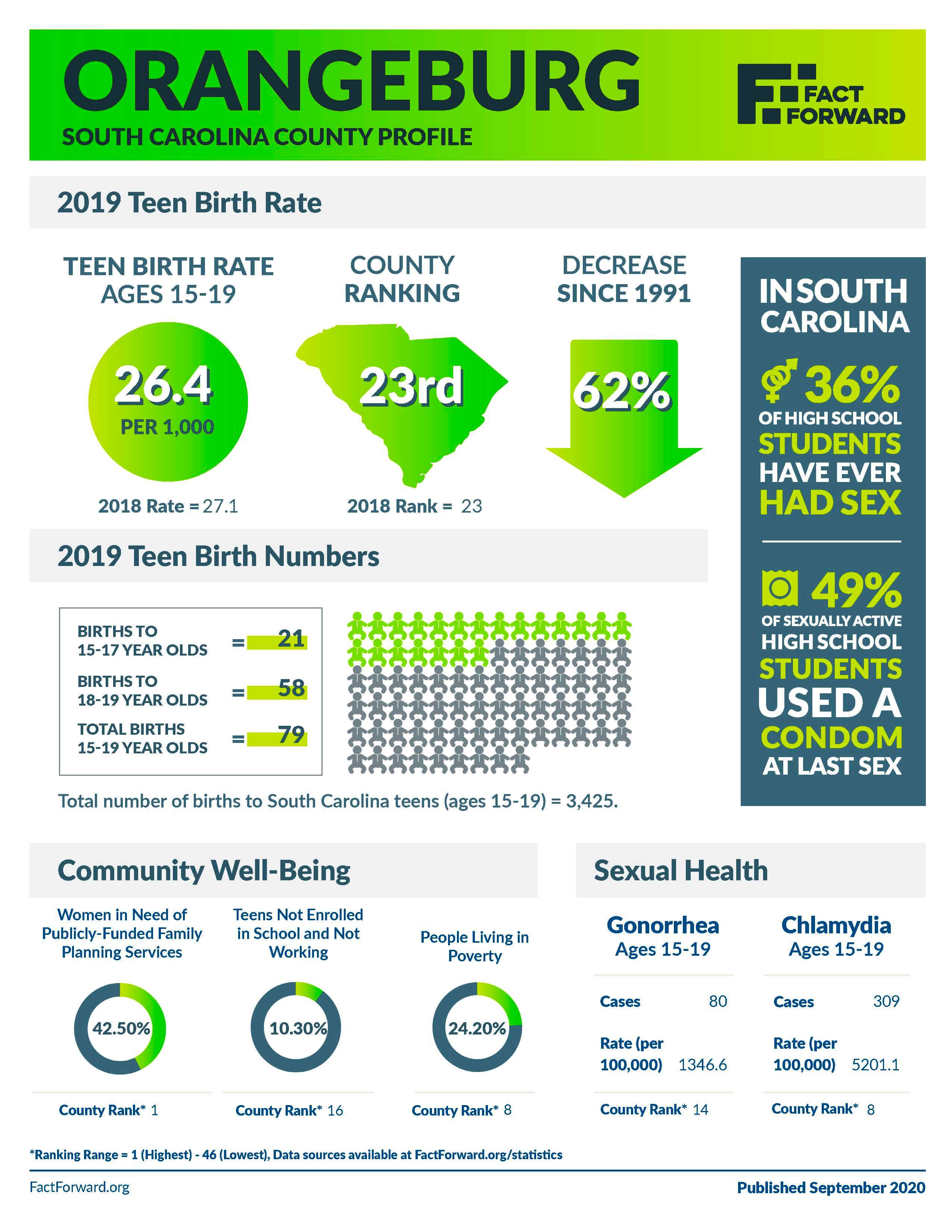 Orangeburg Teen Birth Data